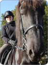 equine dentist on black horse