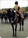 Grant Chanter on his charger at St Johns Wodd Barracks, home of The Kings' Troop Royal Horse Artillery
